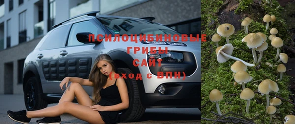 не бодяженный Каменск-Шахтинский