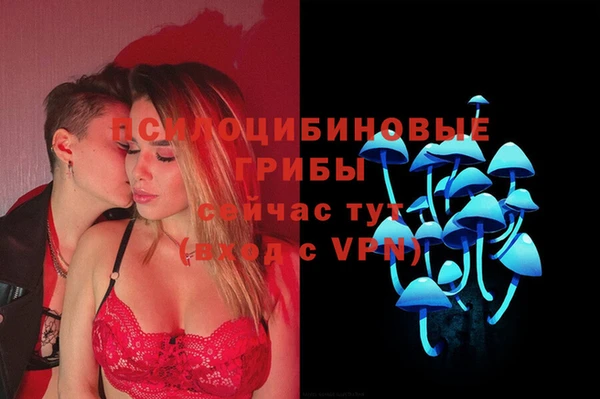 не бодяженный Каменск-Шахтинский