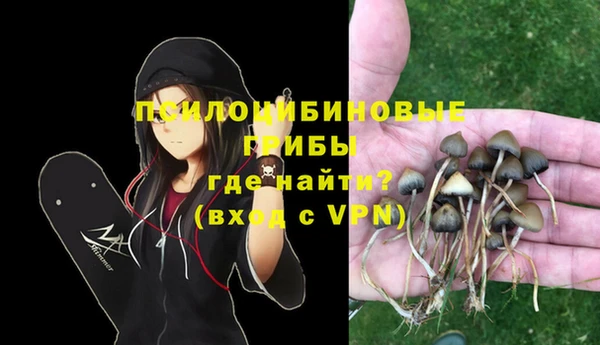 каннабис Каменногорск