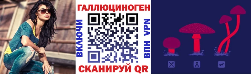 Купить  Ипатово  Псилоцибиновые грибы GOLDEN TEACHER 