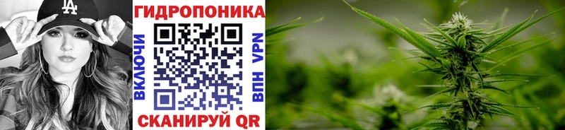 Канабис VHQ  Купить где  Ипатово 